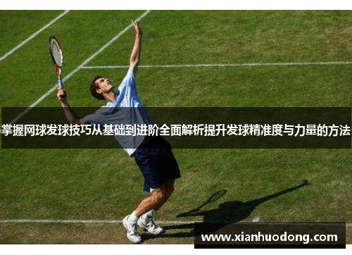 掌握网球发球技巧从基础到进阶全面解析提升发球精准度与力量的方法