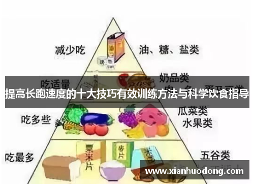 提高长跑速度的十大技巧有效训练方法与科学饮食指导