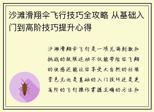 沙滩滑翔伞飞行技巧全攻略 从基础入门到高阶技巧提升心得