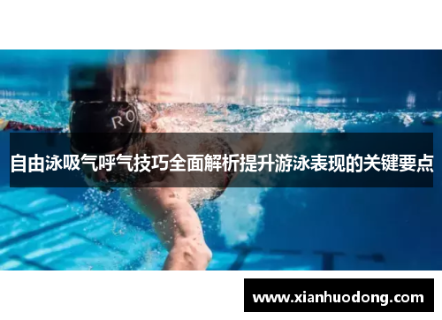 自由泳吸气呼气技巧全面解析提升游泳表现的关键要点