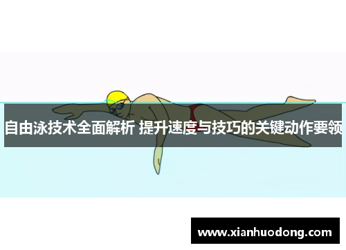 自由泳技术全面解析 提升速度与技巧的关键动作要领