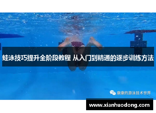 蛙泳技巧提升全阶段教程 从入门到精通的逐步训练方法
