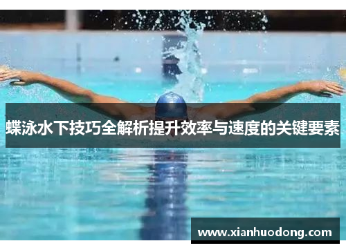 蝶泳水下技巧全解析提升效率与速度的关键要素
