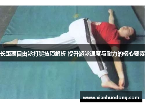 长距离自由泳打腿技巧解析 提升游泳速度与耐力的核心要素